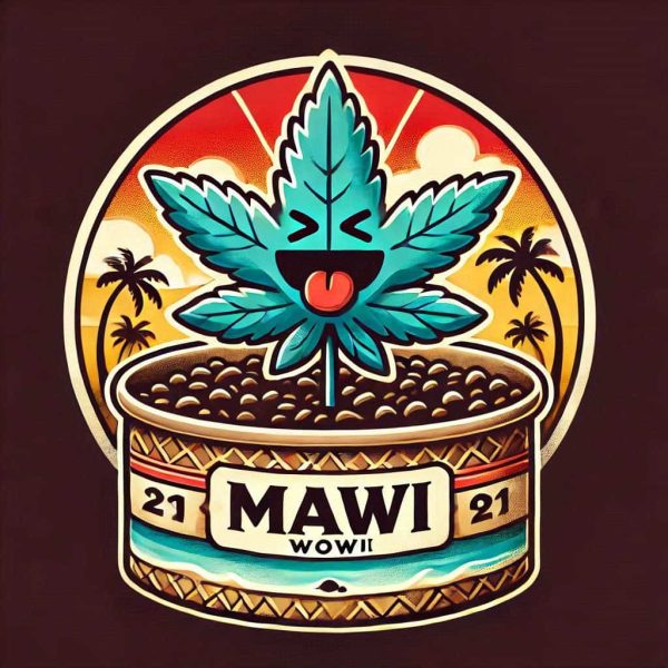 Maui Wowie Seeds