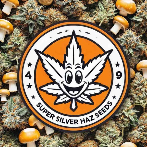 Super Silver Haze Seeds