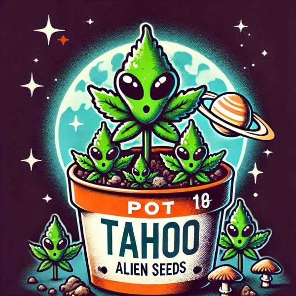 Tahoe Alien Seeds